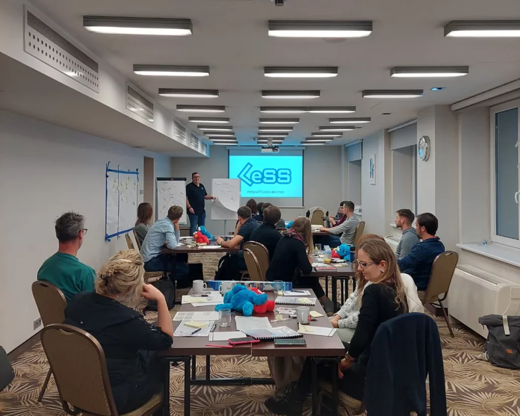 Certified LeSS Practitioner